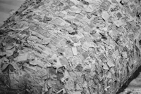 a black and white photo of a large piece of paper