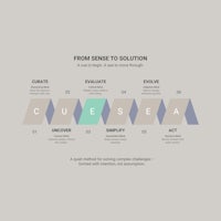 From Sense To Solution Model