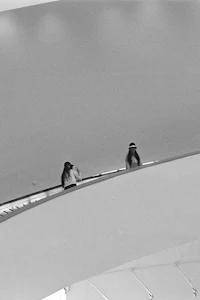two people standing on a stairway