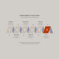 From Sense To Solution Model