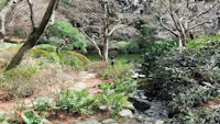 japanese garden with a stream and trees