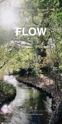 the cover of the book flow