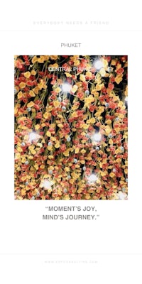 a poster with the words'moment to joy mind & journey'