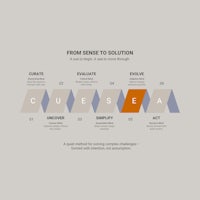 From Sense To Solution Model