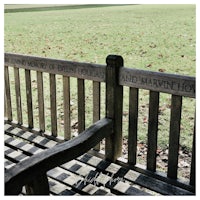 a wooden bench in a park with words written on it
