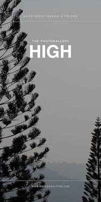 the cover of the book high