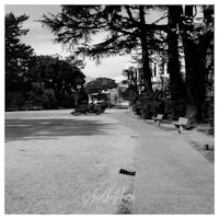 a black and white photo of a park with benches