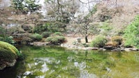 japanese garden in tokyo