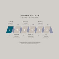 From Sense To Solution Model