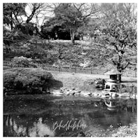a black and white photo of a pond in a park