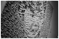 a black and white photo of a sculpture made of paper