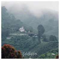 tea plantations in sri lanka
