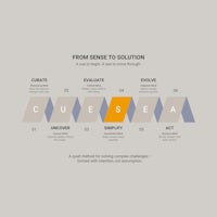 From Sense To Solution Model