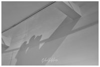 a black and white photo of a couple's shadow on a wall