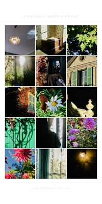 a collage of pictures of flowers and plants