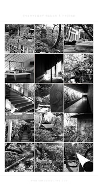 a series of black and white photos of trees and buildings