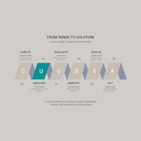 From Sense To Solution Model