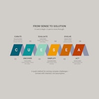 From Sense To Solution Model